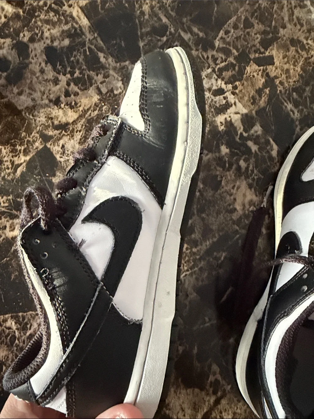 Nike Black and White Skateboard Sneakers